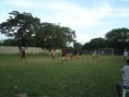 /album/rm12-2011/copia-de-dsc00403-jpg/